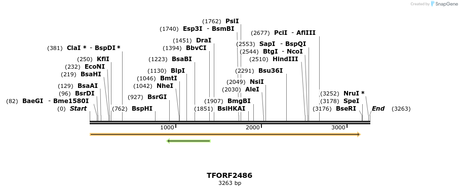 282903_map