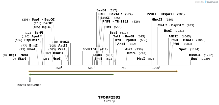 282906_map
