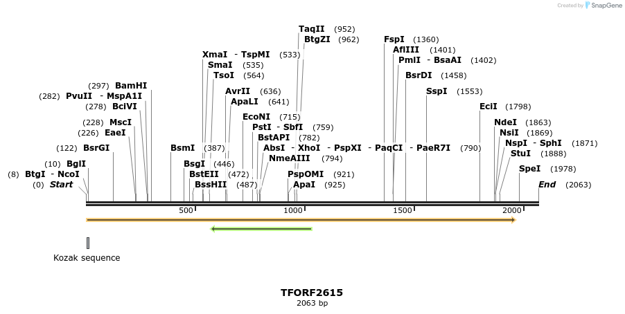 282909_map