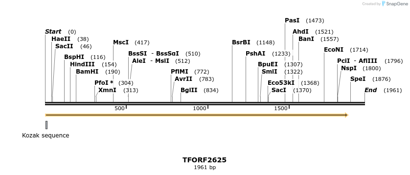 282912_map