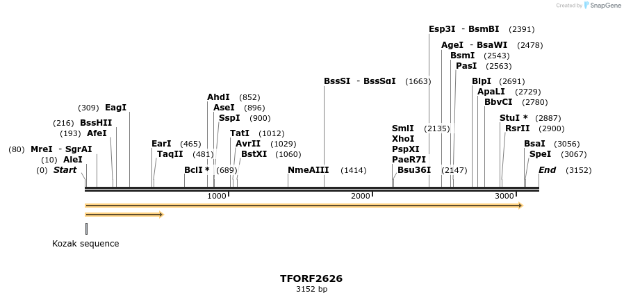 282915_map