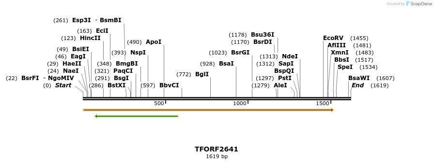 282918_map