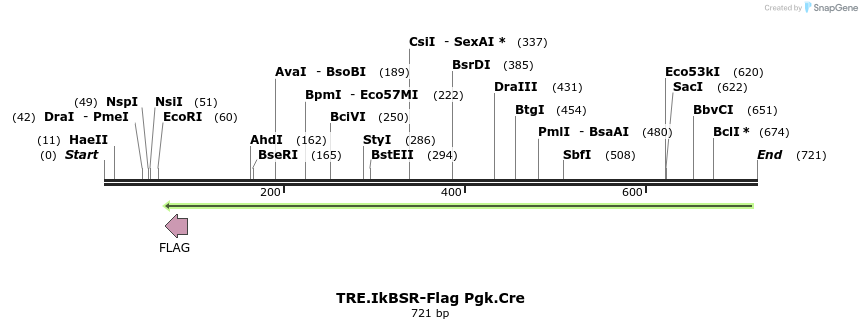 28292_map