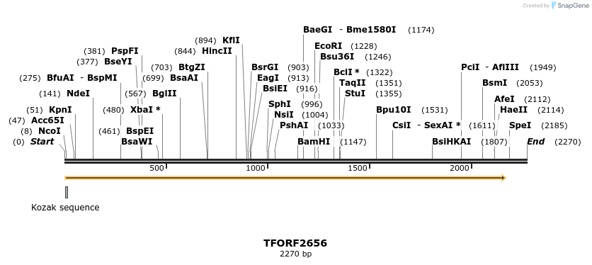 282921_map