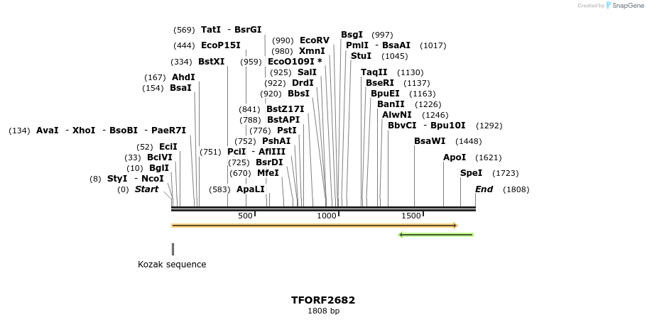 282924_map