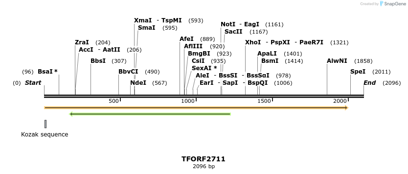 282933_map