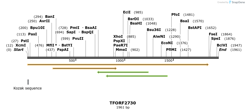 282936_map