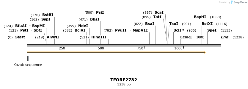 282939_map