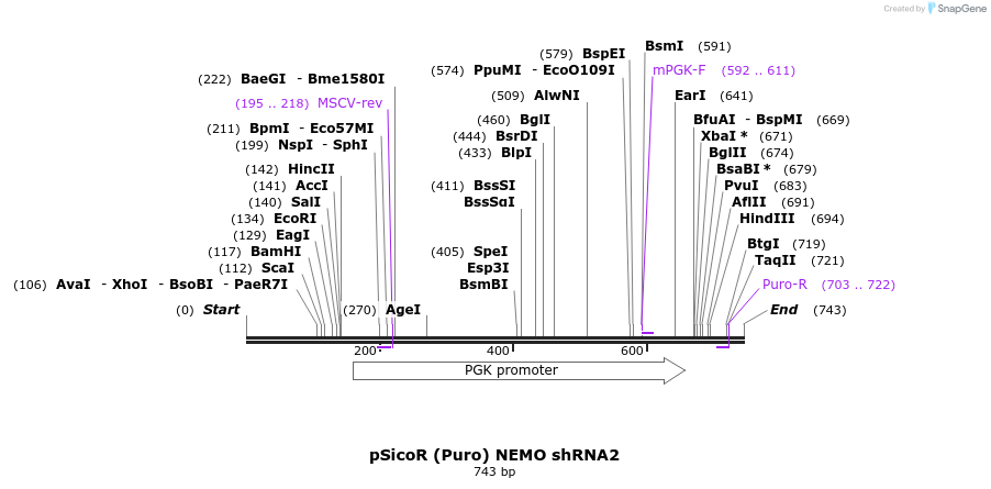 28294_map