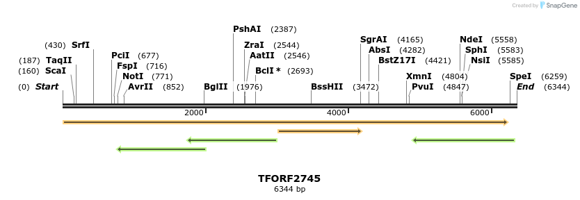 282945_map