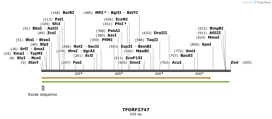 282948_map