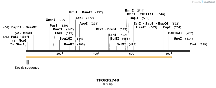 282951_map