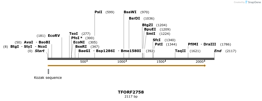 282957_map