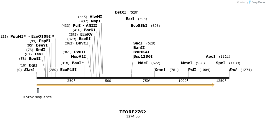 282963_map