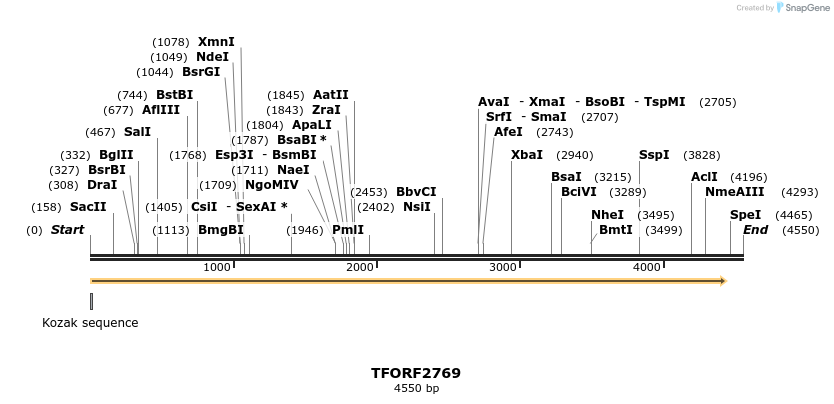 282966_map