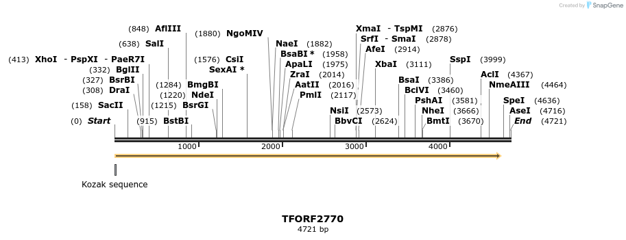 282969_map