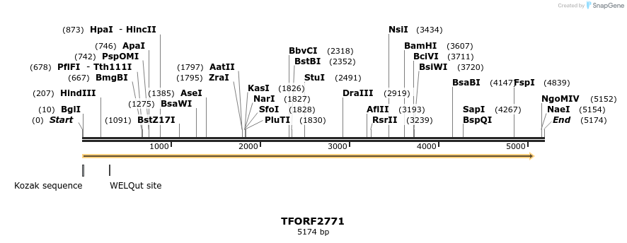282972_map