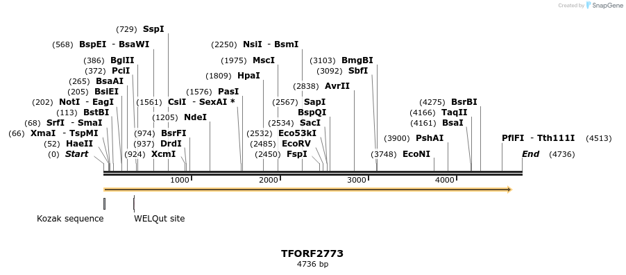 282975_map
