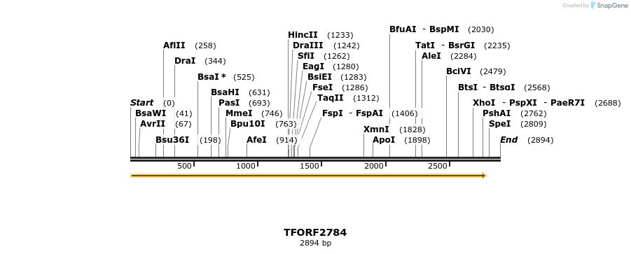 282981_map