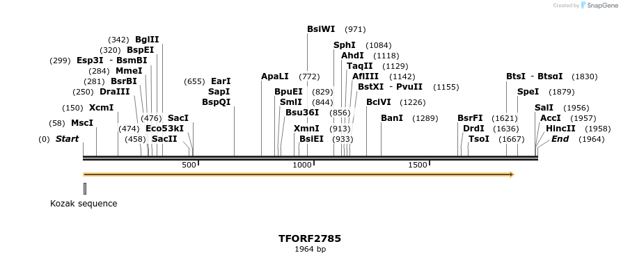 282984_map