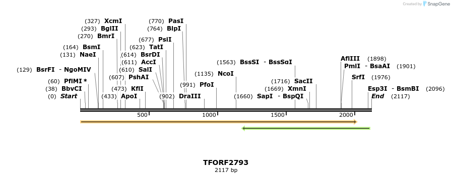 282987_map