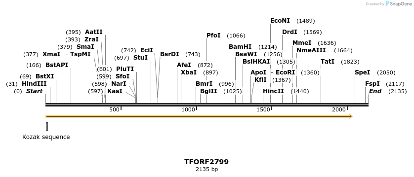 282990_map