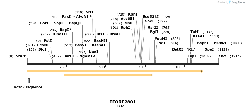282993_map