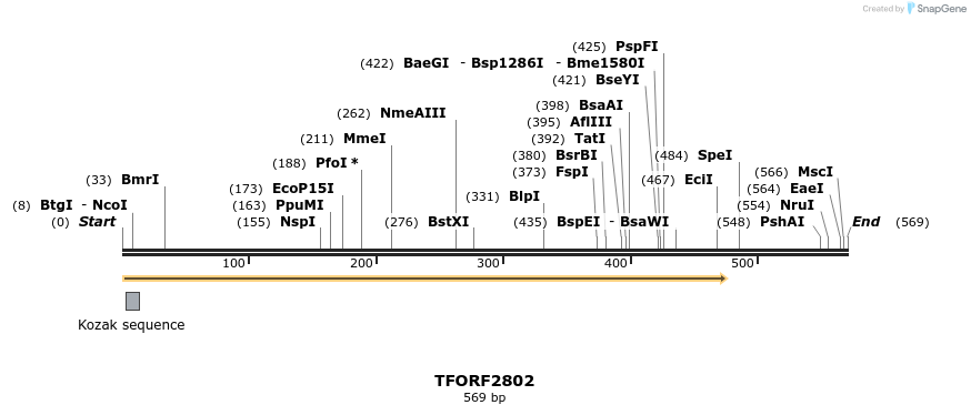 282996_map