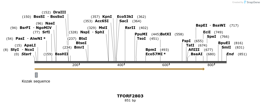282999_map