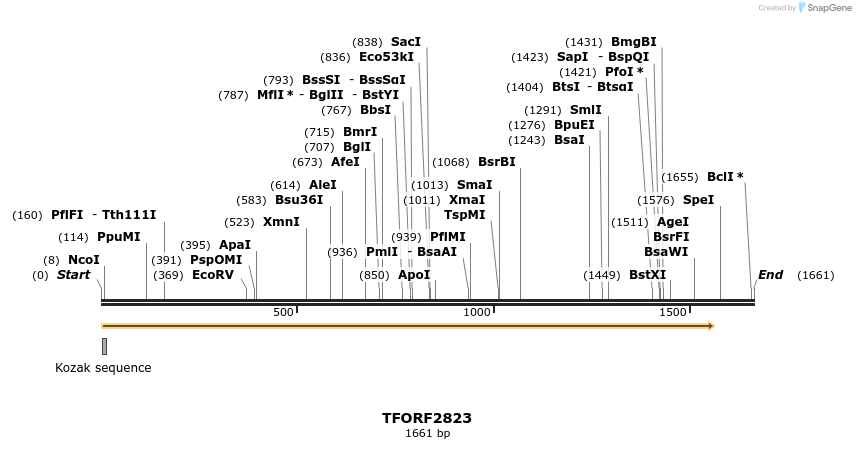 283017_map