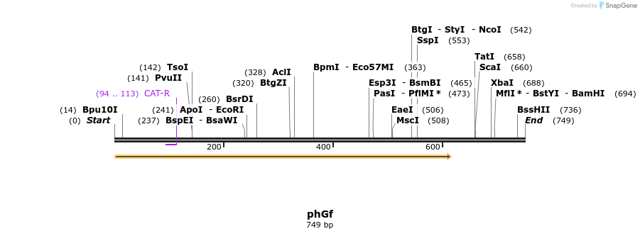 28302_map