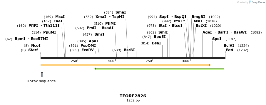 283023_map