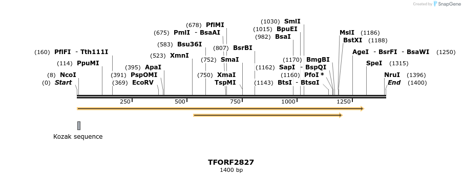 283026_map