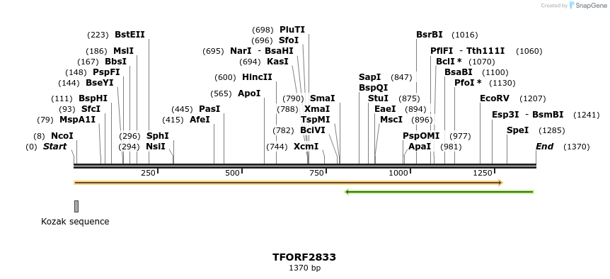 283029_map