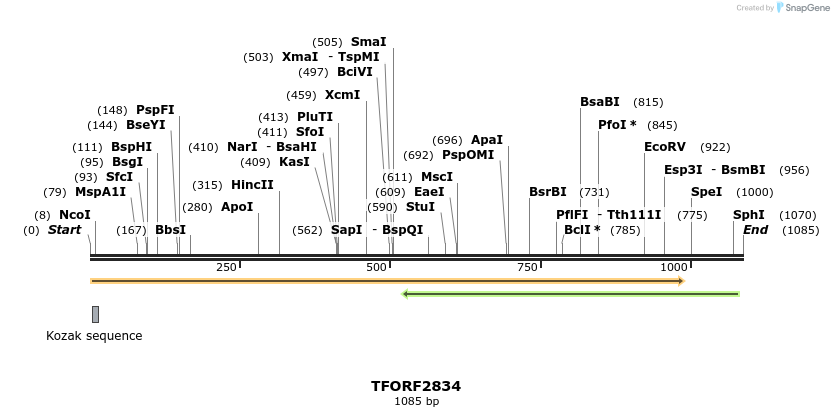283032_map