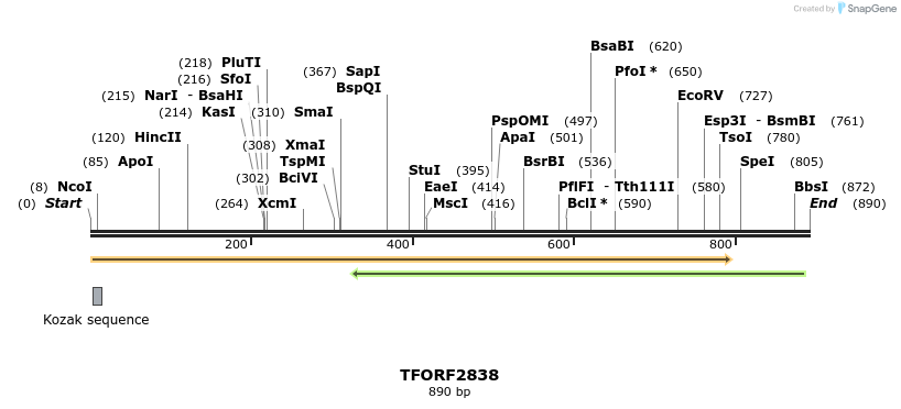 283035_map