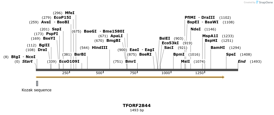 283038_map
