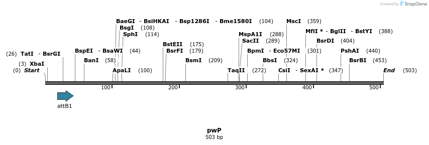 28305_map