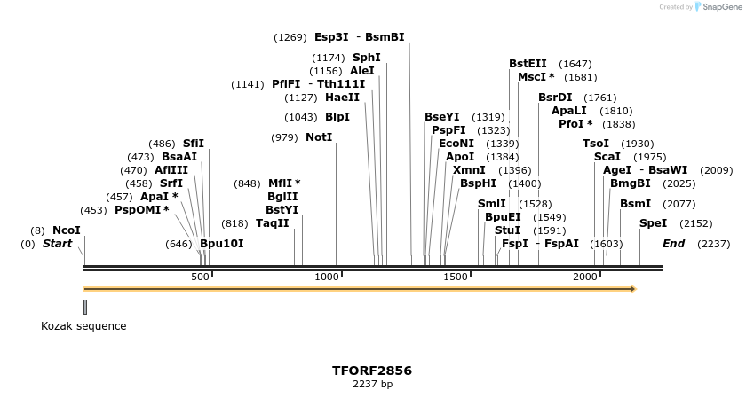 283053_map