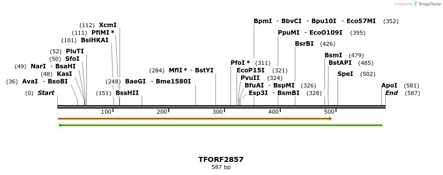 283056_map