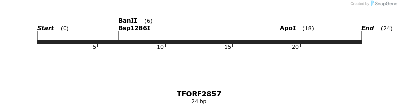 283057_map