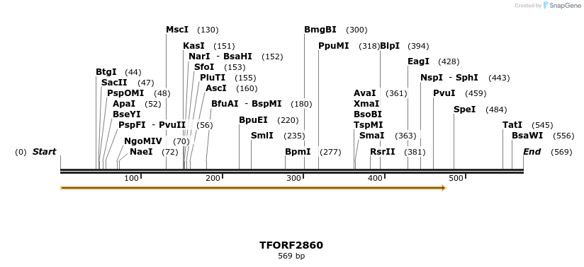 283059_map
