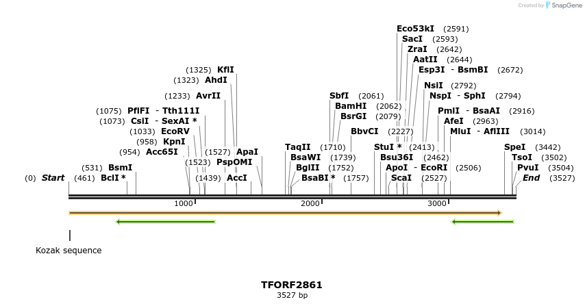 283062_map