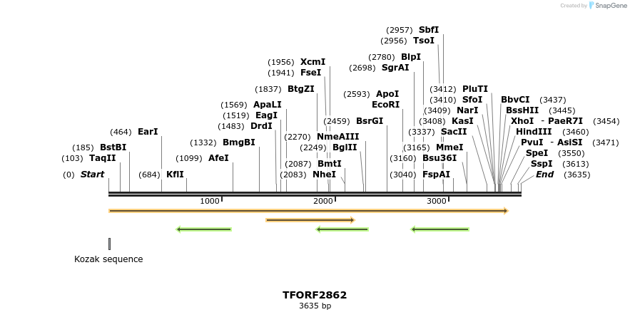 283065_map