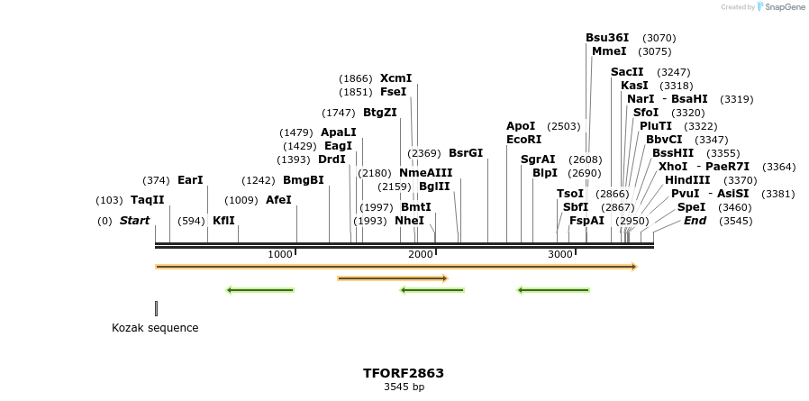 283068_map