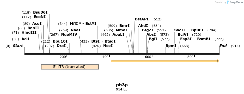 28307_map