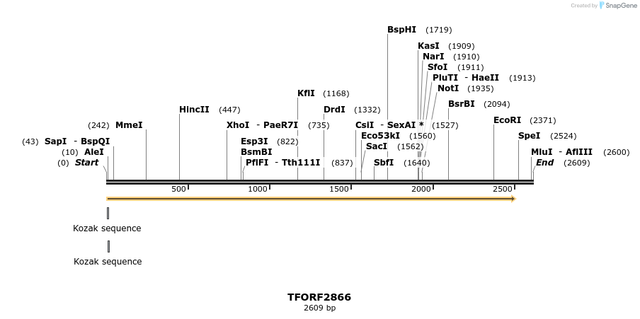 283071_map