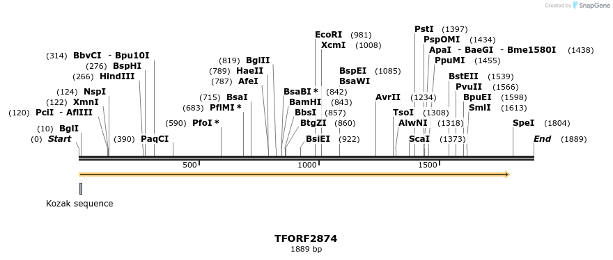 283077_map