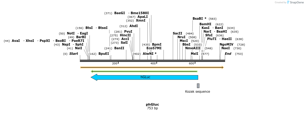 28309_map