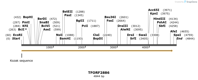 283095_map
